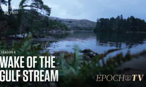 In the Wake of the Gulf Stream