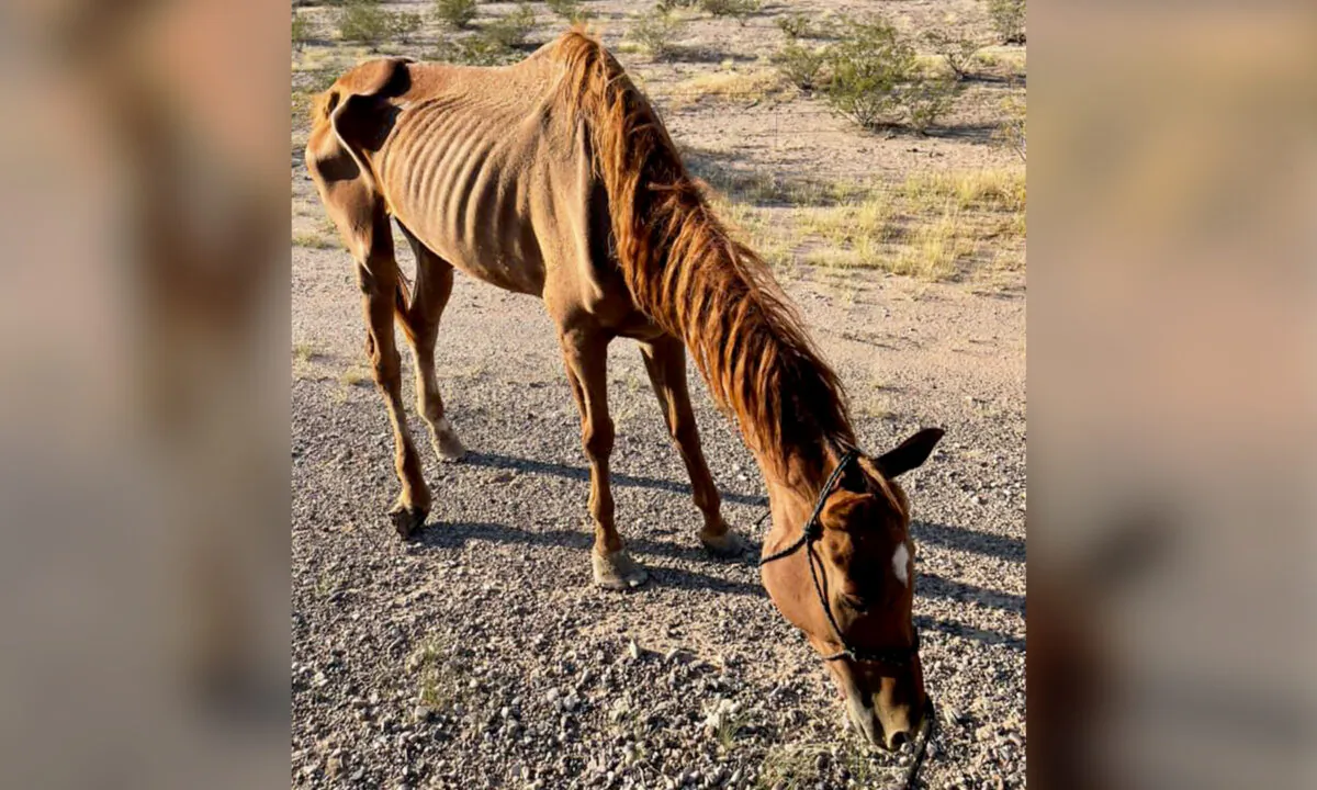 (Courtesy of Hope Ranch Arizona)