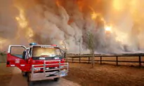 Extreme Fire Warnings as Southern Heatwave Continues