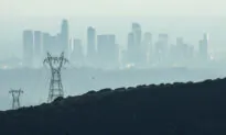 Air Pollution Inflames Brain, Lowering Sperm Counts: Mouse Study