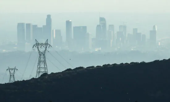 Air Pollution Inflames Brain, Lowering Sperm Counts: Mouse Study