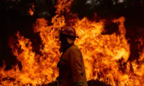 Australian State Government Refers Bushfire Grants Report to Watchdog