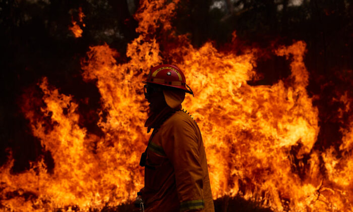 A CFA member works on controlled back burns along Putty Road in Sydney, Australia, on Nov. 14, 2019. (Brett Hemmings/Getty Images)