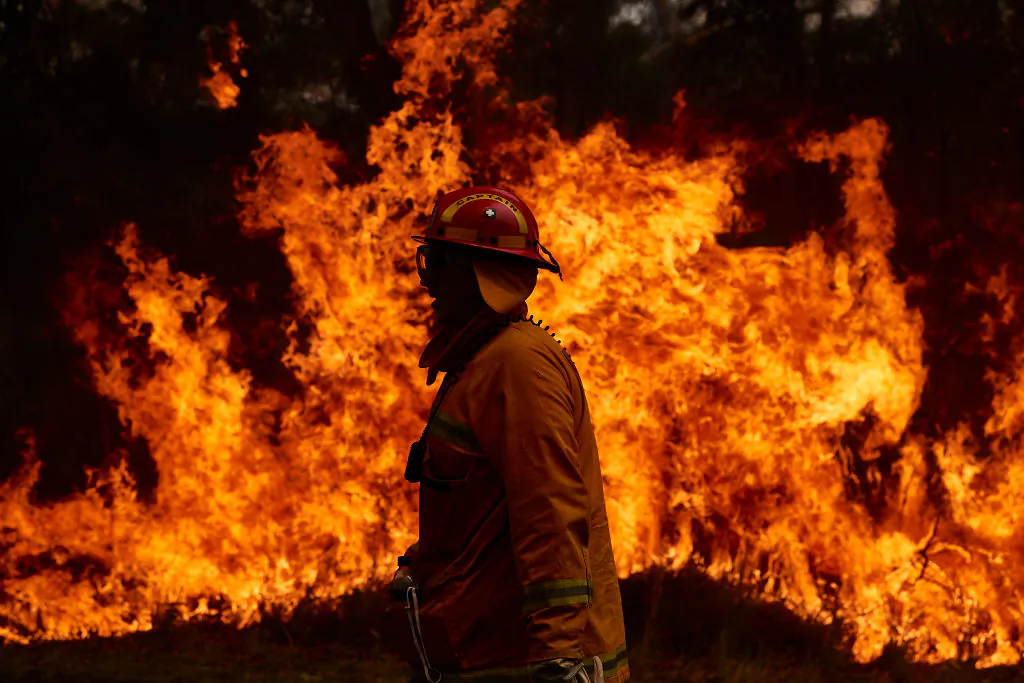 A CFA member works on controlled back burns along Putty Road in Sydney, Australia, on Nov. 14, 2019. (Brett Hemmings/Getty Images)