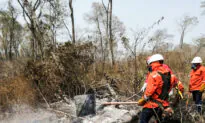 China’s Beef Demand in Bolivia Drives Deforestation and Wildfires