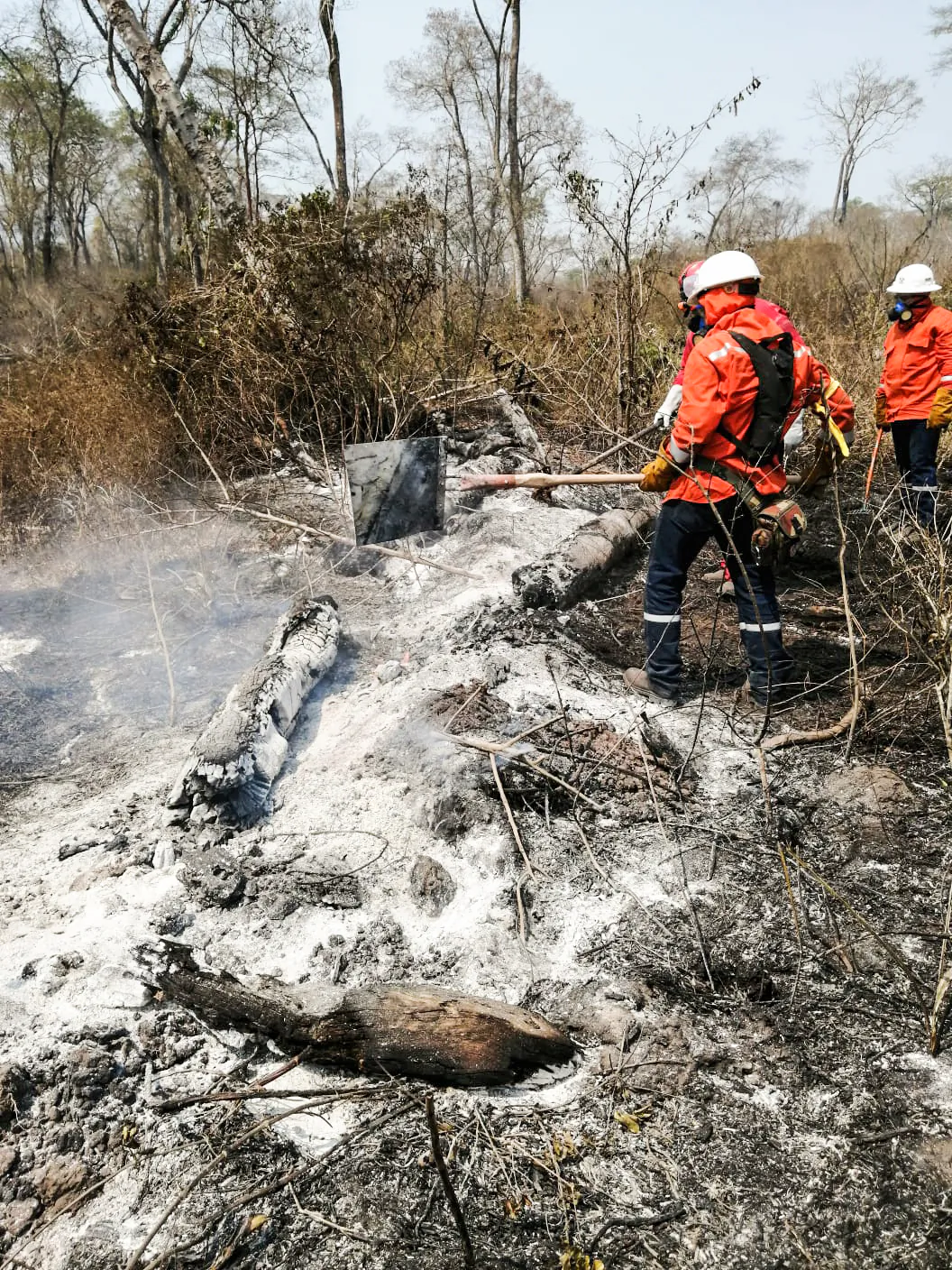 Firefighters put out a blaze near Robore, in Santa Cruz department, August 2019. (Cesar Calani Cosso/Epoch Times)
