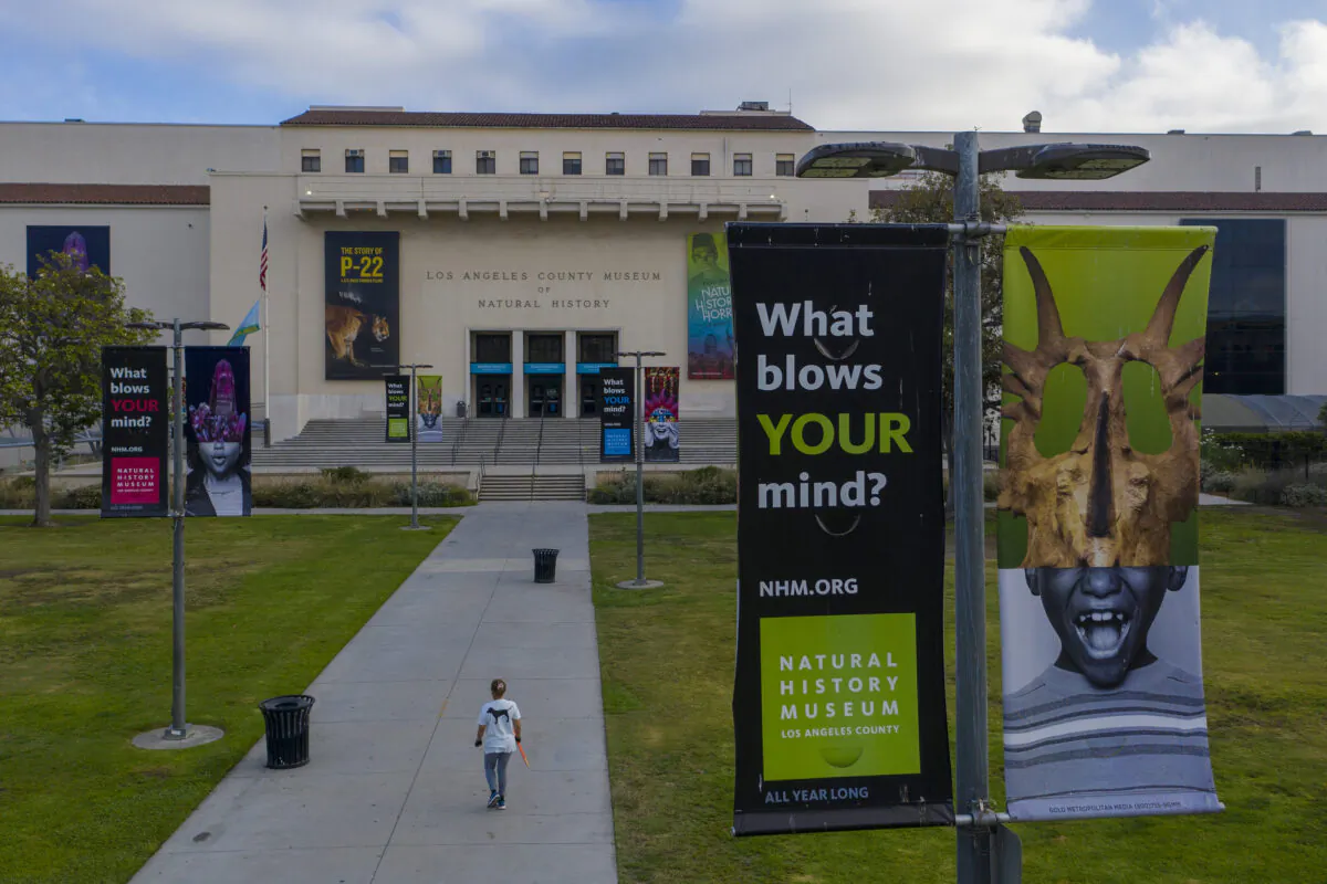 The Natural History Museum in Los Angeles on June 12, 2020. (David McNew/Getty Images)