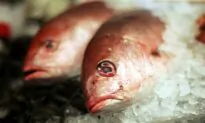 Gene Editing Industry Grows As Food Regulation Loosens