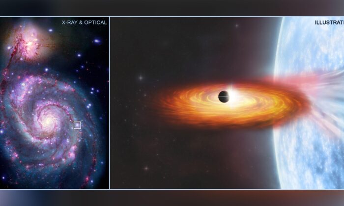 (Left) A composite image that contain a box that marks the location of the possible planet candidate. (Right) An illustration of the possible planet. (R. DiStefano et al., Grendler, and M. Weiss/NASA/SAO/ESA)
