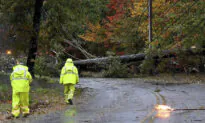 Nor’easter Cuts Power to Over Half-Million Homes, Businesses