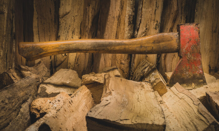 What could carving an axe handle have to do with educating a child? (Anze Furlan/Shutterstock)