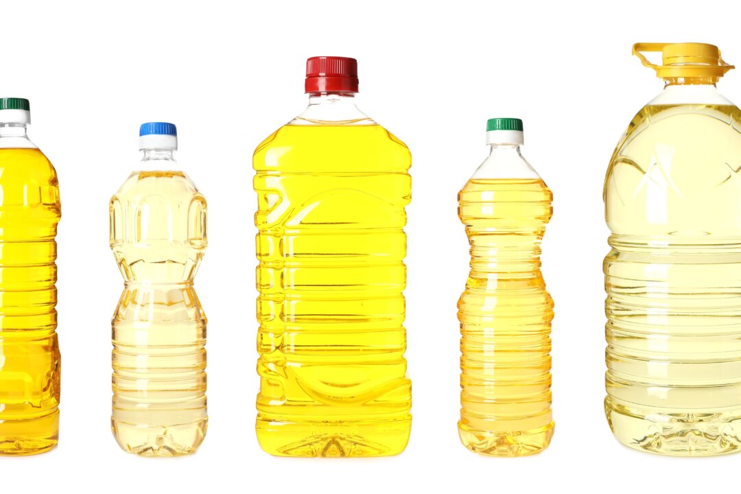 Knobbe’s published data show that seed oils, which were introduced into the United States diet in 1866, made up 32 percent of Americans’ diet by 2010. (New Africa/Shutterstock)