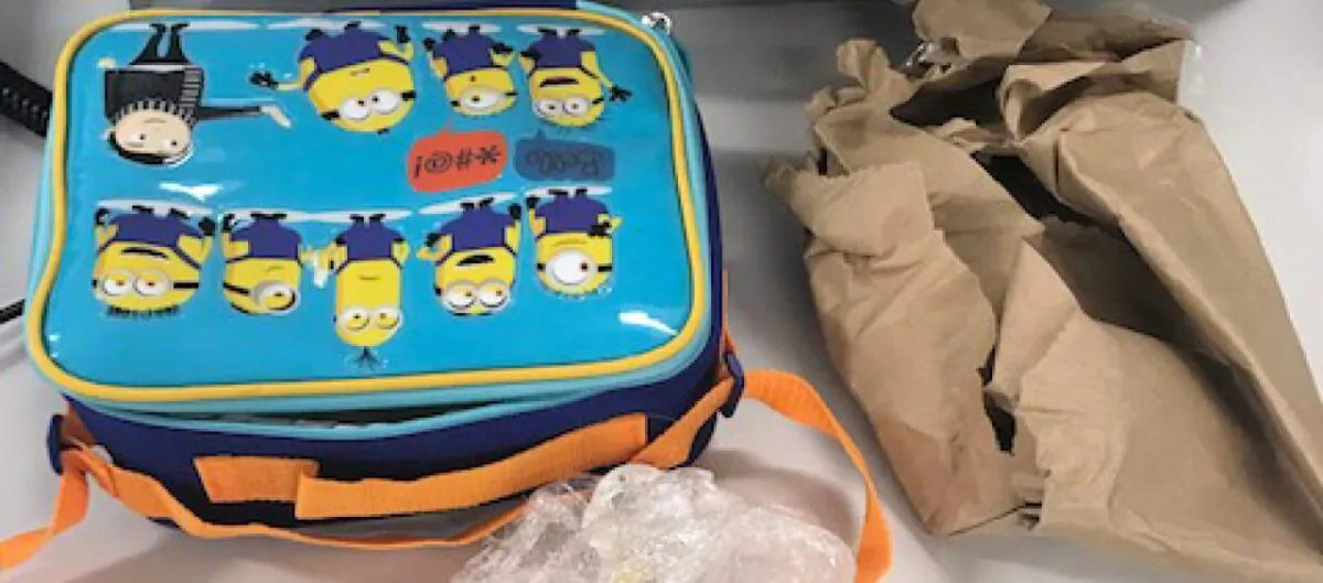 A children's lunchbox allegedly used to smuggle cocaine. (USPIS/NYDETF)