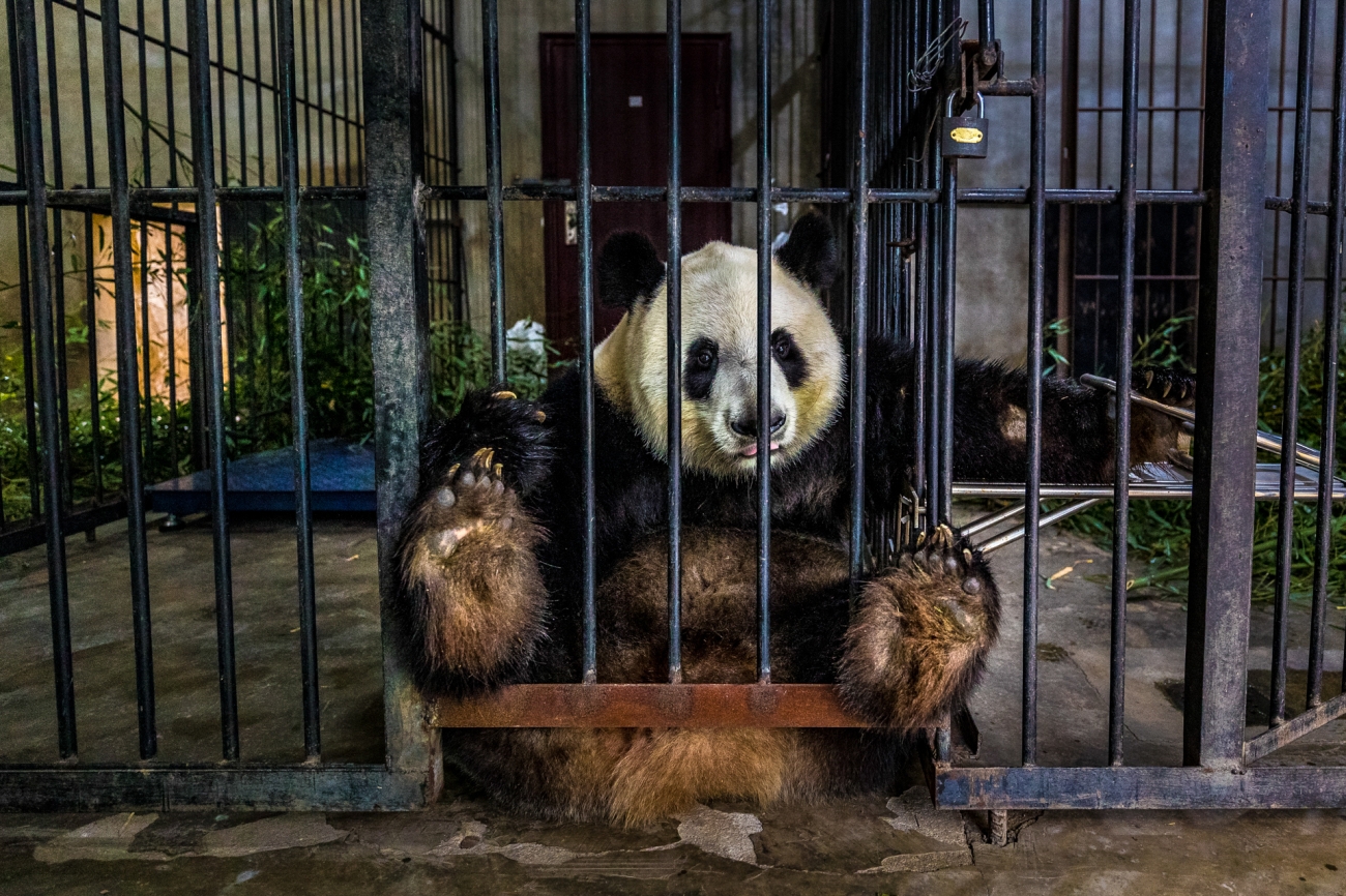 Epoch Times Photo