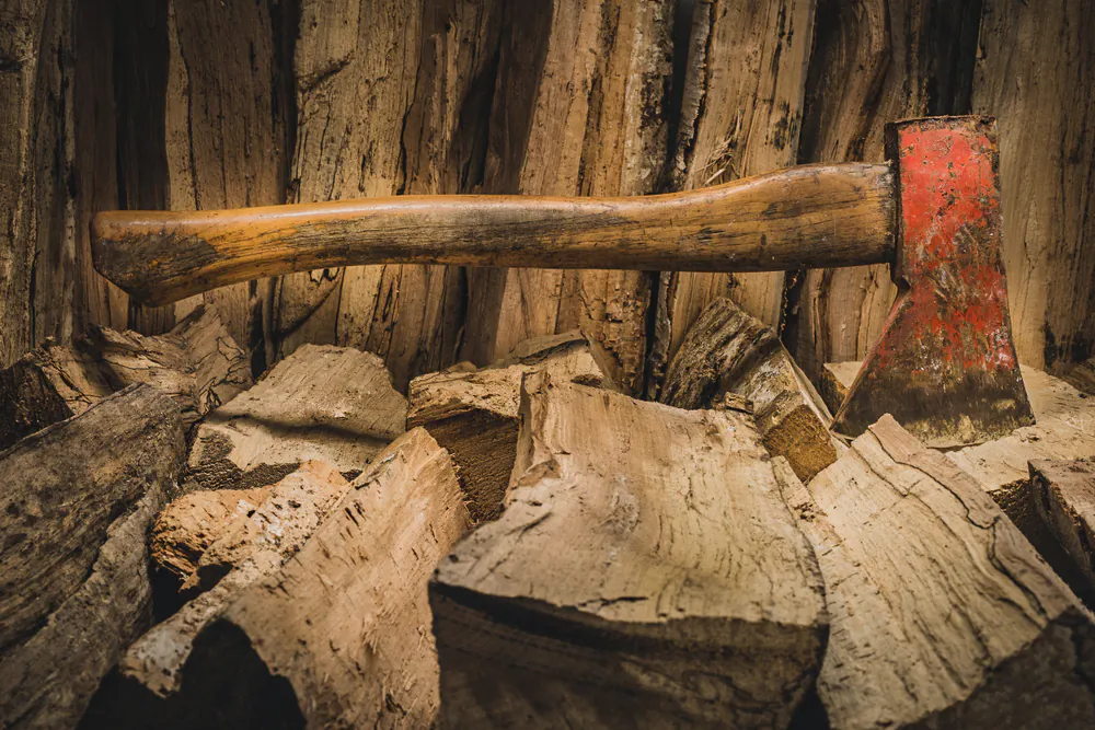 What Good Is Poetry? Robert Frost’s ‘The AxeHelve’ Fitting Axes and