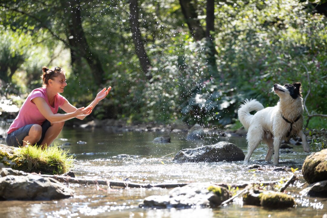 A new study finds that people with pre-existing mental health conditions could experience improved mental health through engaging in outdoor nature-based activities. (Melinda Nagy/Shutterstock)