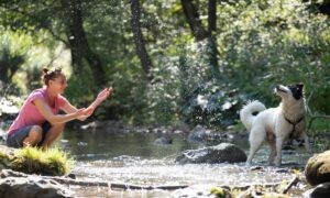 Nature-Based Activities Help Reduce Anxiety in Adults