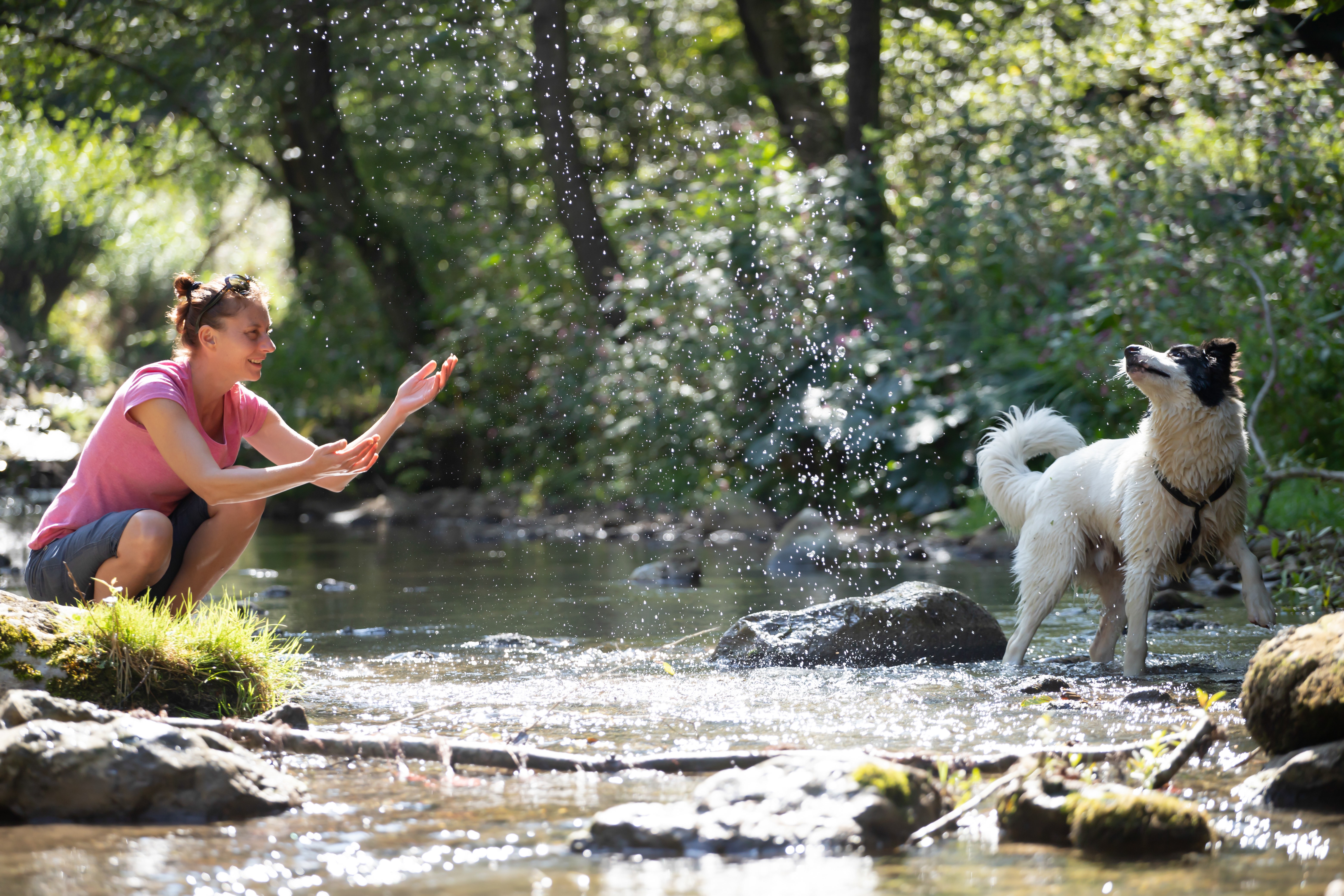 Nature-Based Activities Help Reduce Anxiety in Adults - Vimarsana News