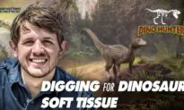 Dino Hunter (Episode 2): Digging for Dinosaur Soft Tissue