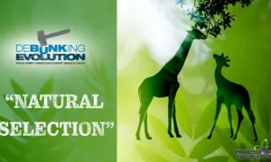 Debunking Evolution (Episode 2): Debunking Evolution Part2