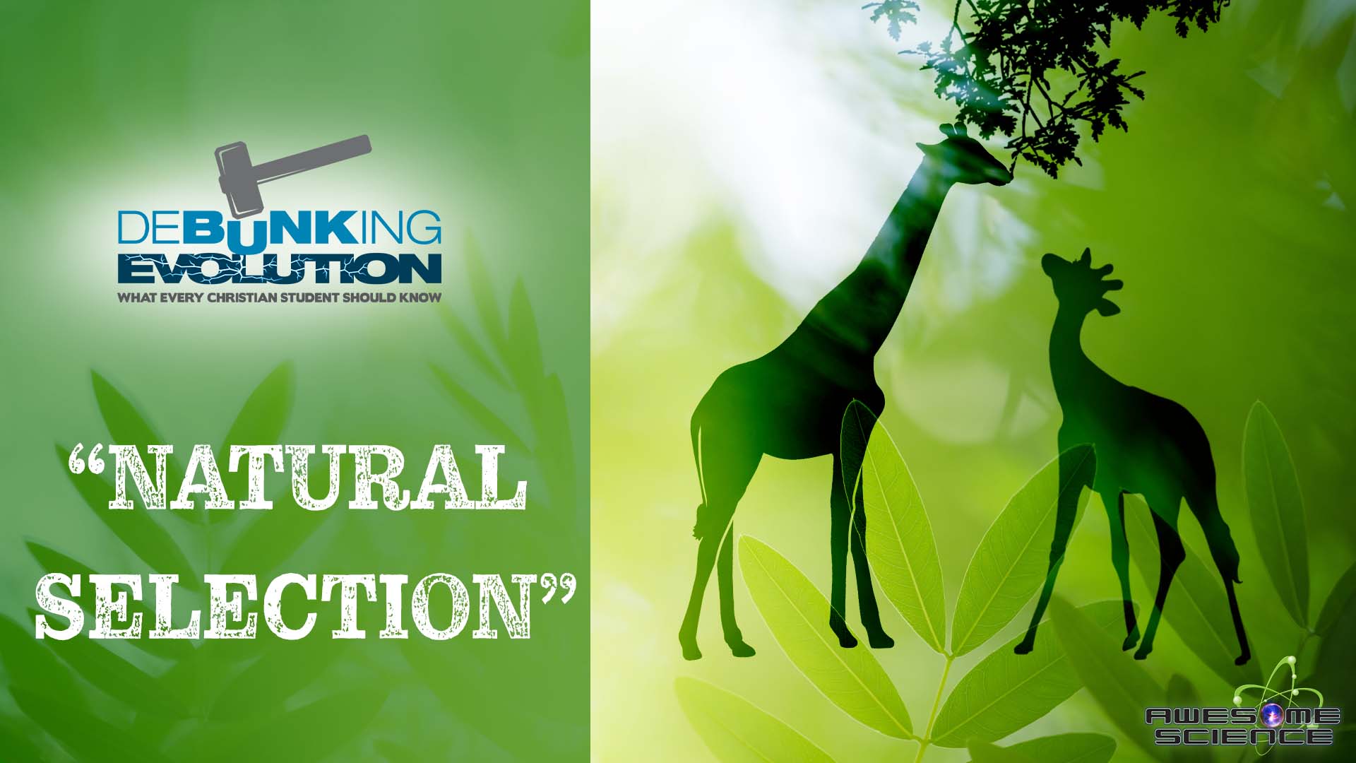 Debunking Evolution (Episode 2): Debunking Evolution Part2 - Vimarsana News