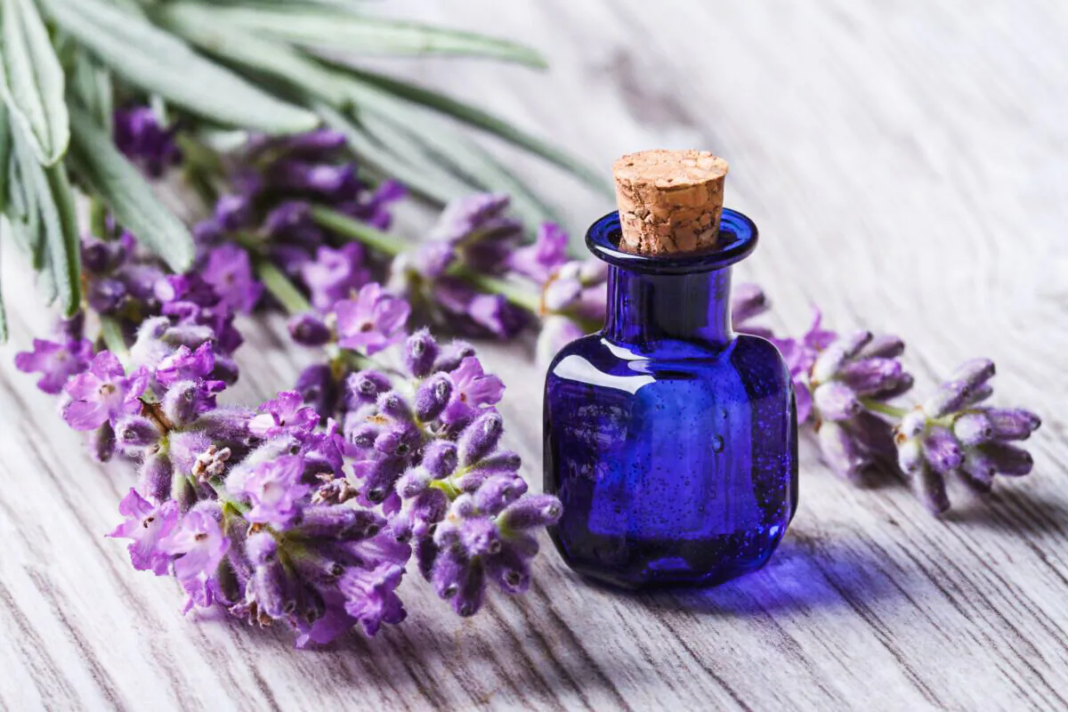 A bottle of essential oil and its floral source are displayed in a file photo. (AS Food studio/Shutterstock)