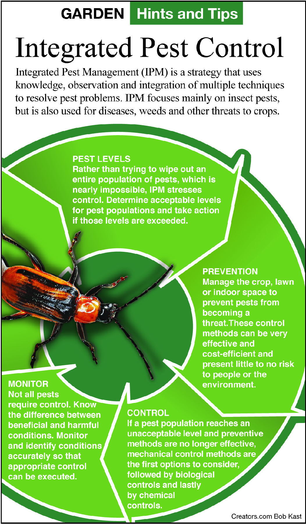 Commercial Pest Control