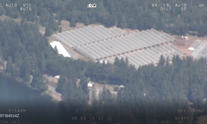 An aerial photograph shows an illegal marijuana operation in Josephine County, Oregon. (Courtesy of Josephine County Sheriff's Office)