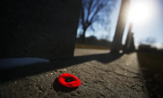 Saskatchewan Poppy Legislation Stems From Reported Bans at Job Sites, Legion Says