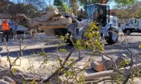 Santa Ana Responds to Over 340 Calls After Windstorm