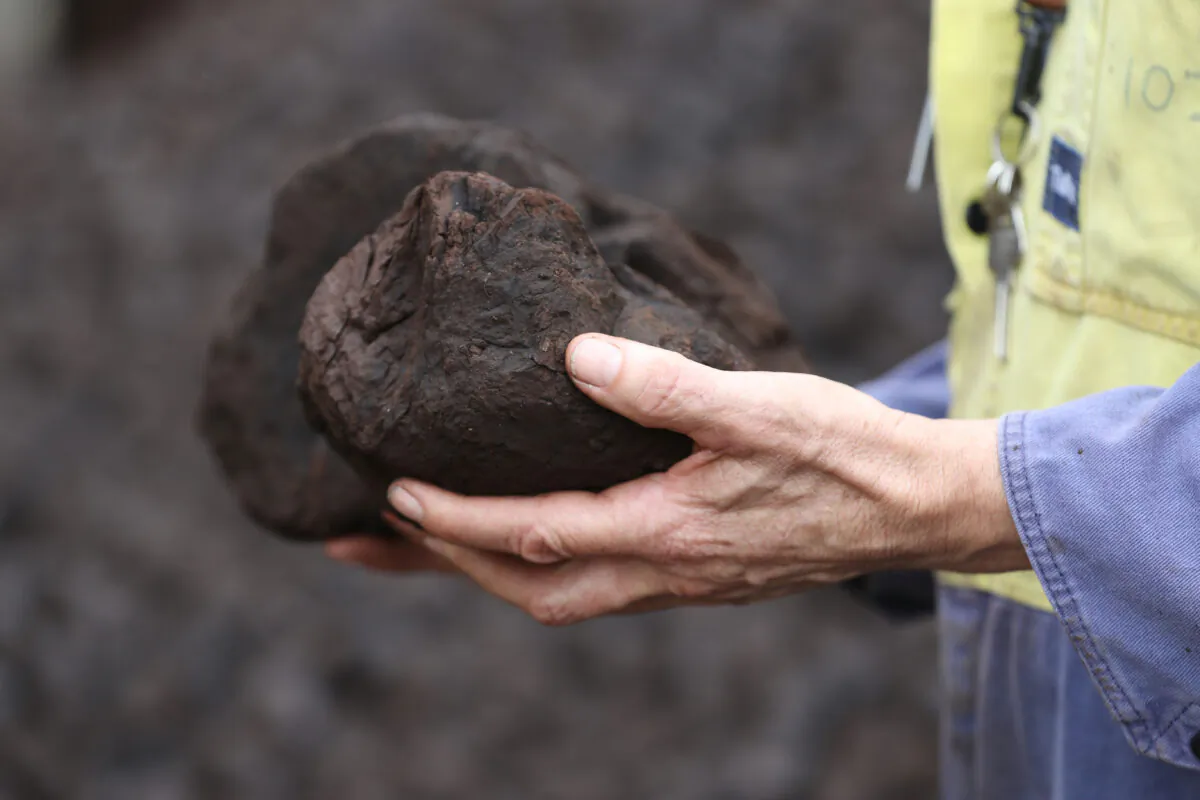Australia’s largest coal producer Glencore exported 15.5 million tons of thermal coal in the third quarter of this year, a year-over-year increase of 15 percent, according to the company’s Q3 report. (Robert Cianflone/Getty Images)