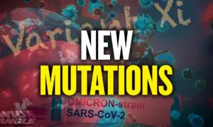 WHO: Omicron Could Trigger Global Pandemic Surge; Will Existing Immunity Work Against Omicron?