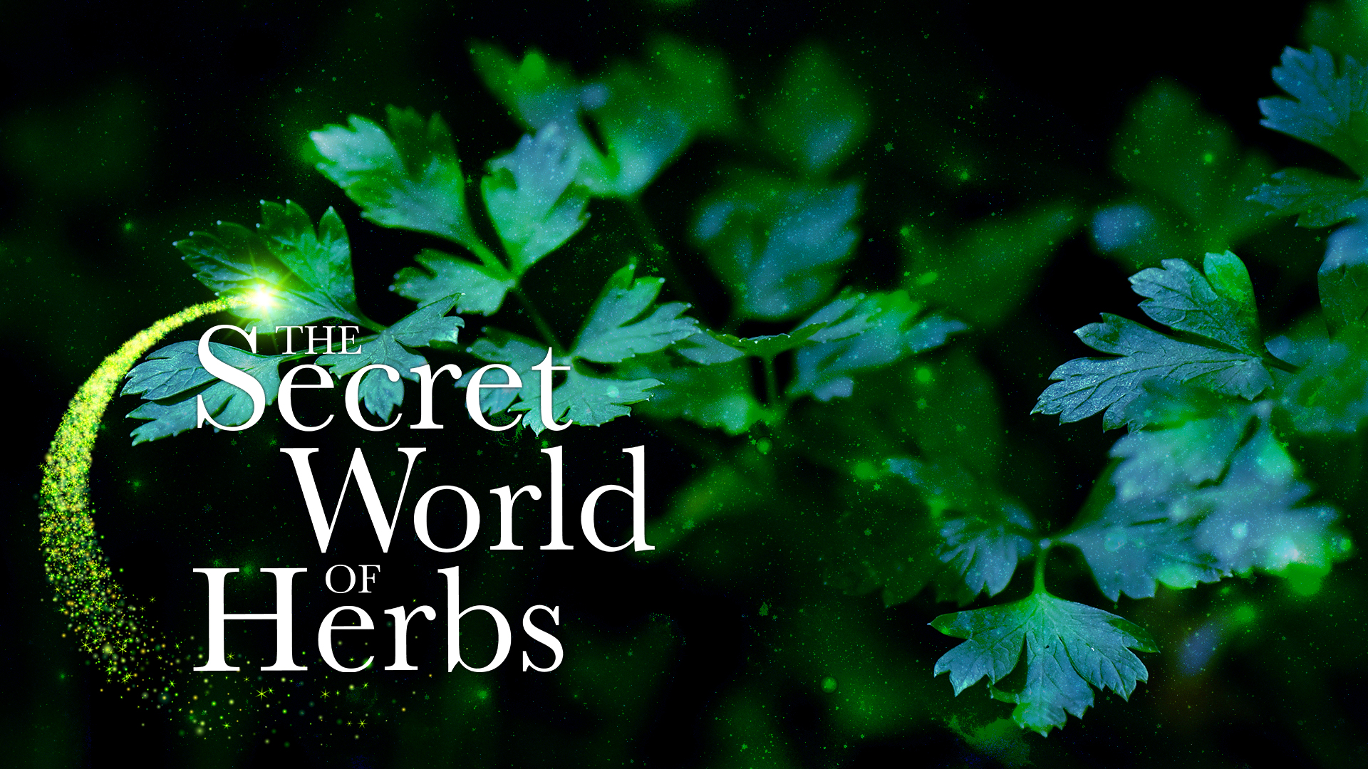 The Secret World of Herbs