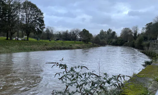 Government Announces Unlimited Penalties for Environmental Polluters