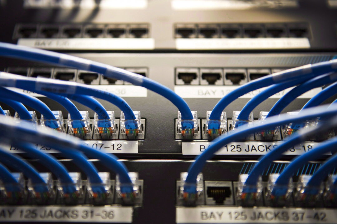 Networking cables on a batch board are shown in Toronto on Nov. 8, 2017. (The Canadian Press/Nathan Denette)
