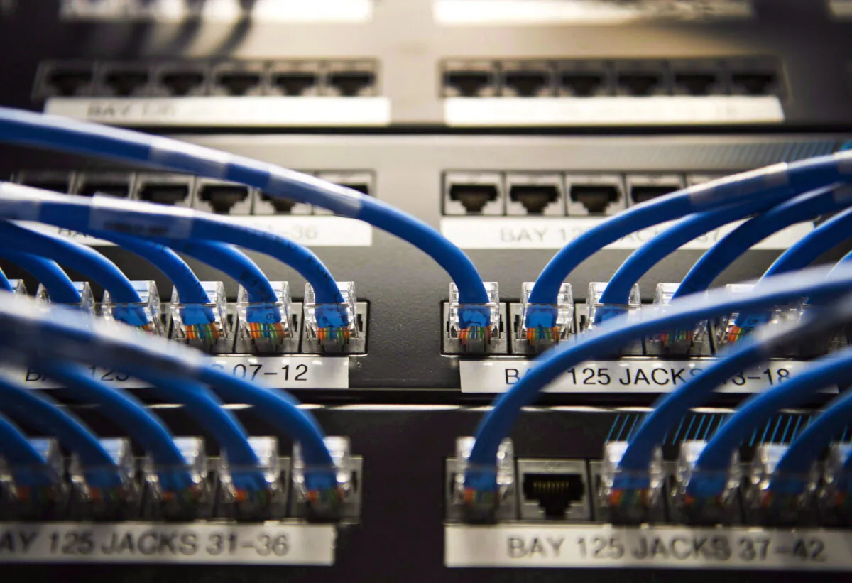 Networking cables on a batch board are shown in Toronto on Nov. 8, 2017. (The Canadian Press/Nathan Denette)