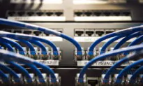 Cyberattack Disrupts NL Health-Care System, Ransomware Not Confirmed: Health Minister