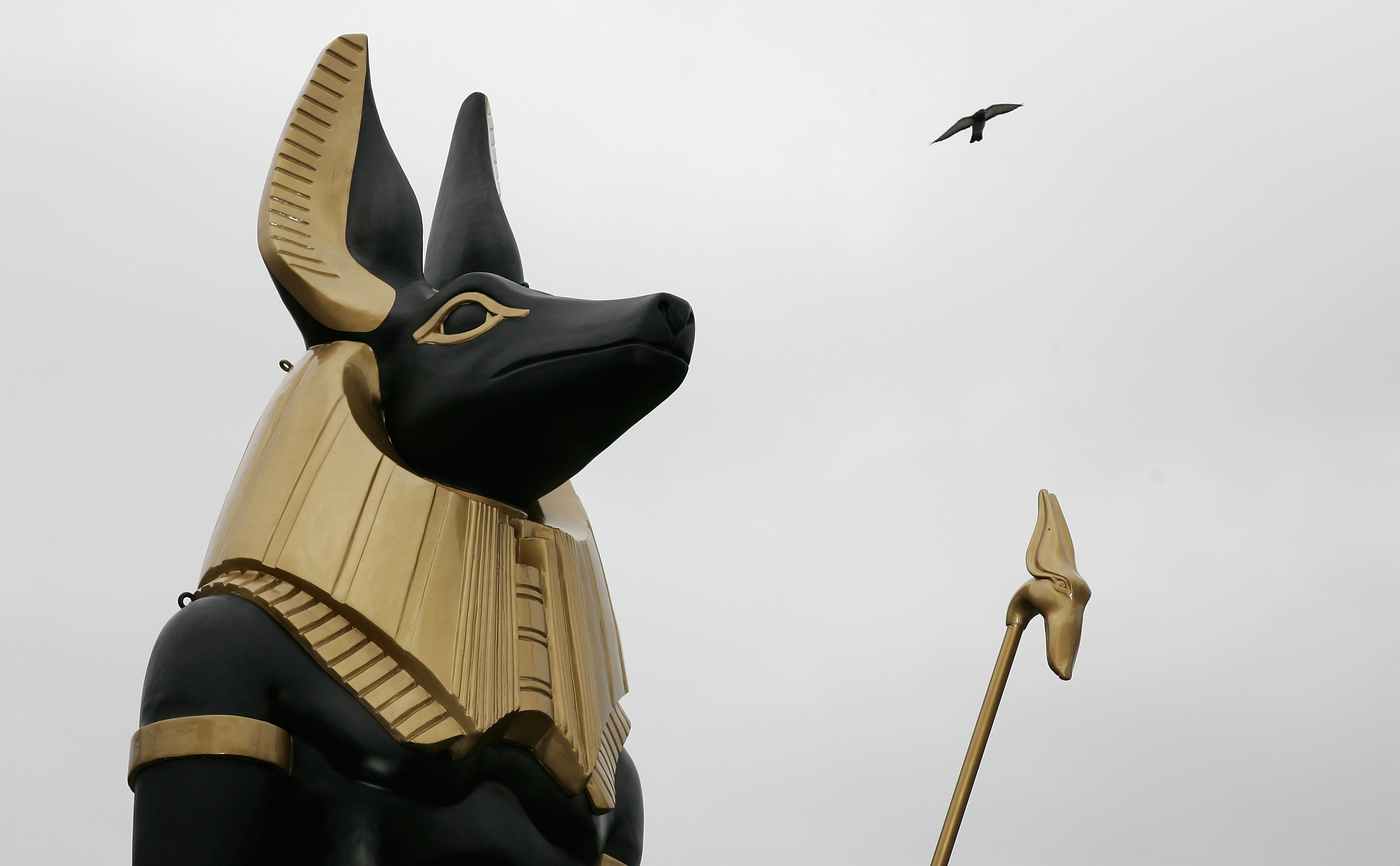 $60 Million Goes Missing In Dog-Themed DeFi Project's Token Sale - Vimarsana News