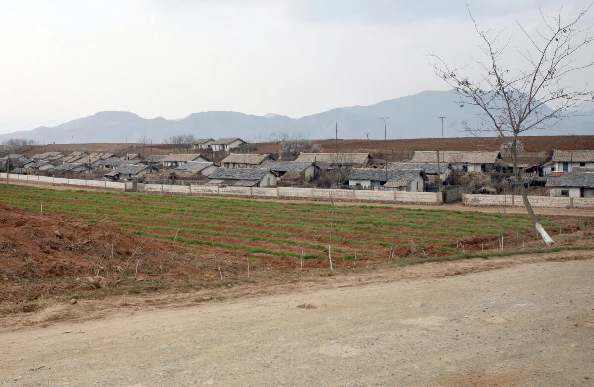 Collective farms in North Hwanghae Province, close to Pyongyang, as seen from the road between Pyongyang and Kaesong, on April 25, 2007. (AFP/AFP via Getty Images)