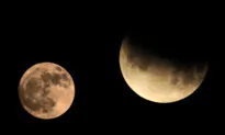 The ‘Full Beaver Moon’ in November Aligns With the Longest Lunar Eclipse of the Century
