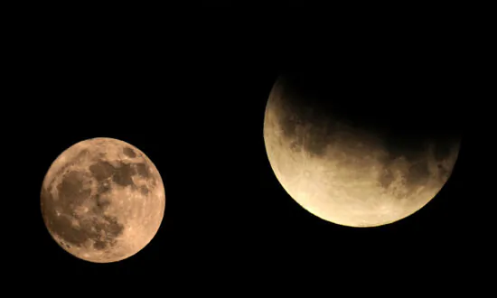 Beaver Moon Lunar Eclipse 2021: When and How To Watch in North America This Week