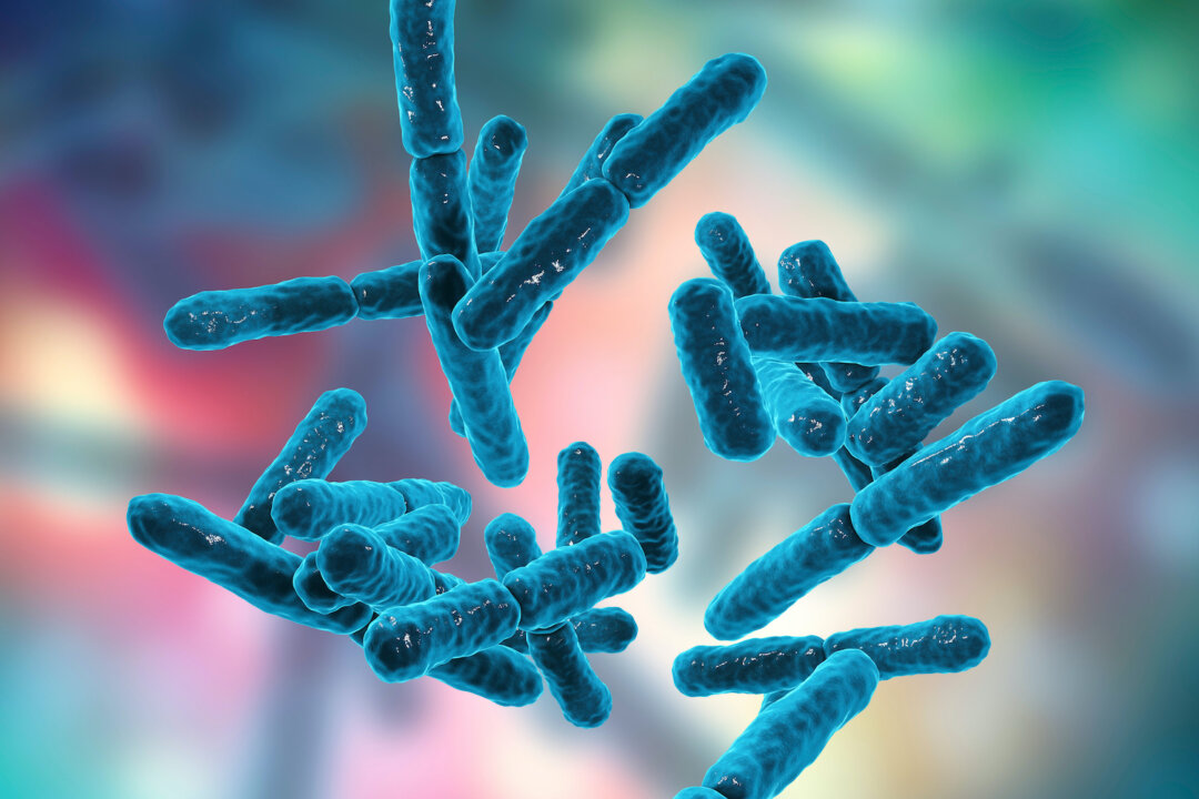 If you're thinking of supplementing with probiotics, make sure you find something in a refrigerator or it might not be of much use. (Kateryna Kon/Shutterstock)