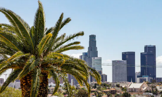 LA Department of Water and Power to Launch $300M Debt Relief Program