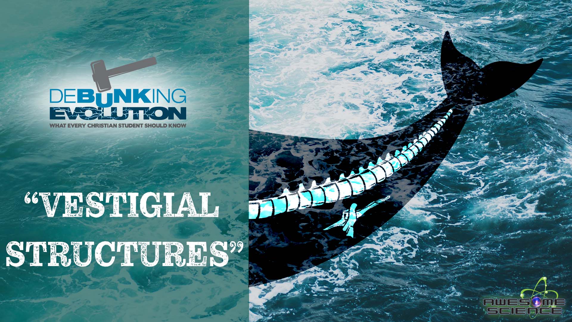 Debunking Evolution (Episode 3): Debunking Evolution Part3 - Vimarsana News
