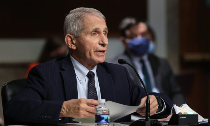 Dr. Anthony Fauci, the head of the National Institute of Allergy and Infectious Diseases, testifies to a Senate panel in Washington on Nov. 4, 2021. (Chip Somodevilla/Getty Images)