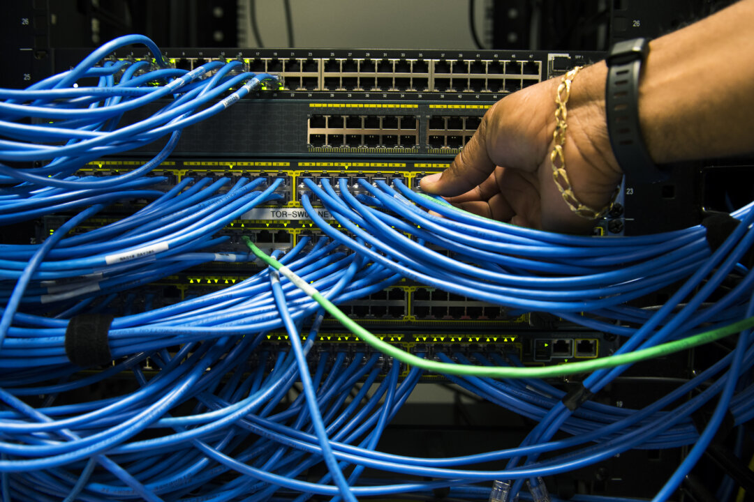 Networking cables and circuit boards are shown in Toronto in a file photo. (The Canadian Press/Nathan Denette)