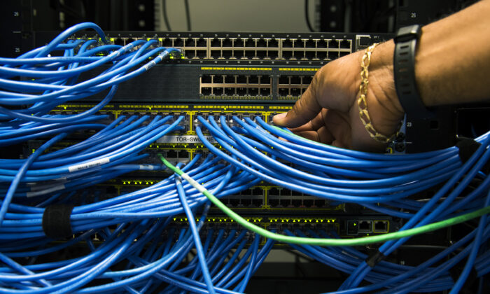 Networking cables and circuit boards are shown in Toronto in a file photo. (The Canadian Press/Nathan Denette)