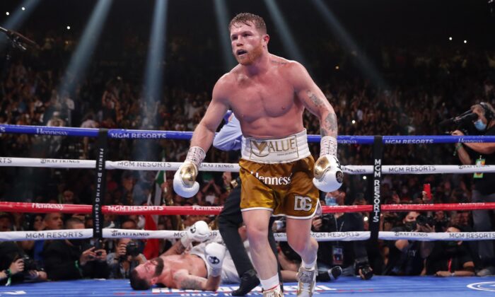 Canelo Alvarez knocks down Caleb Plant to win a super middleweight title unification fight in Las Vegas on Nov. 6, 2021. (Steve Marcus/AP Photo)