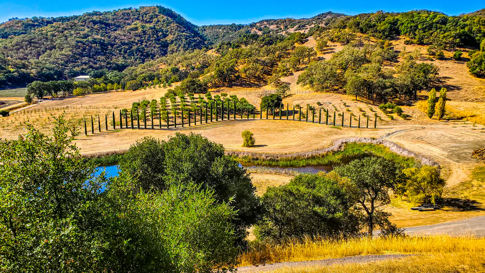 Mendocino wine country. (Maquita H/Shutterstock)
