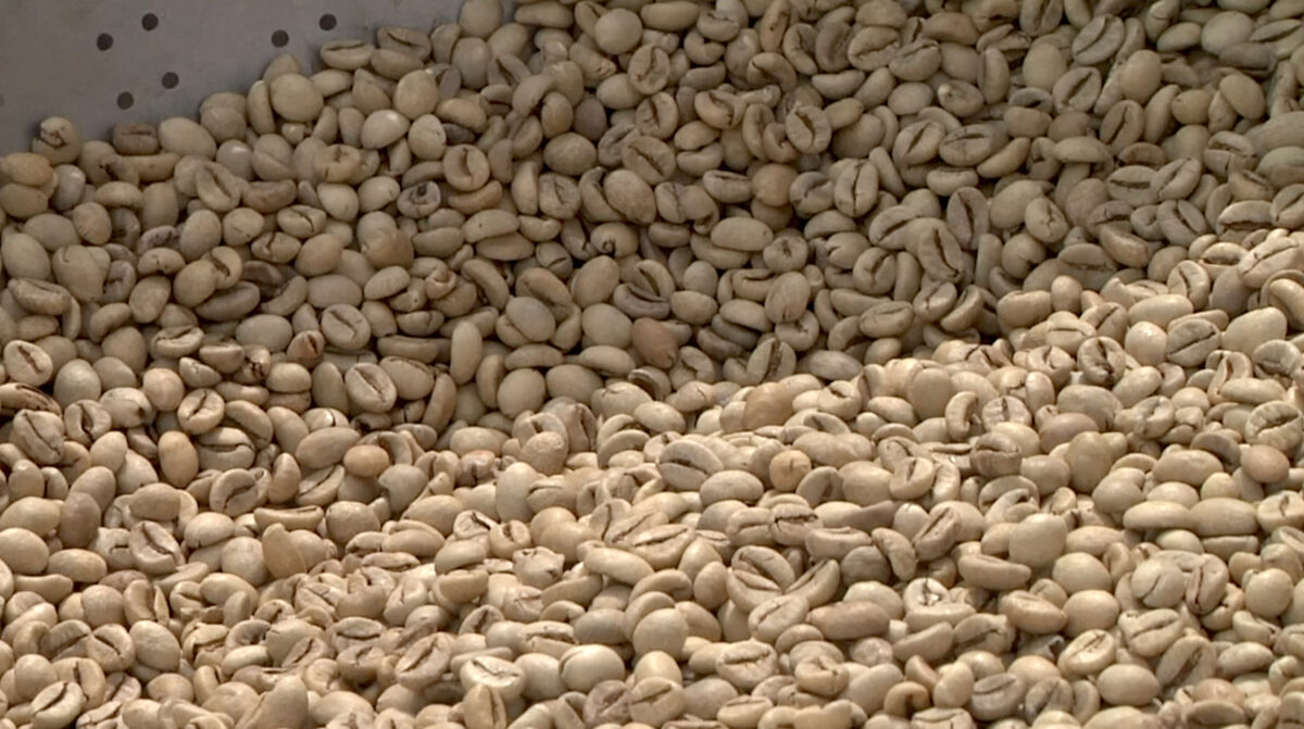 White coffee beans